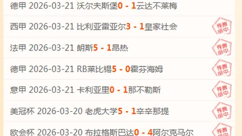 国足主帅伊万印尼之行：深情回应球迷厚爱